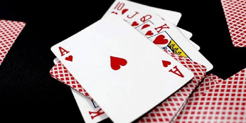 tìm hiểu sâm lốc